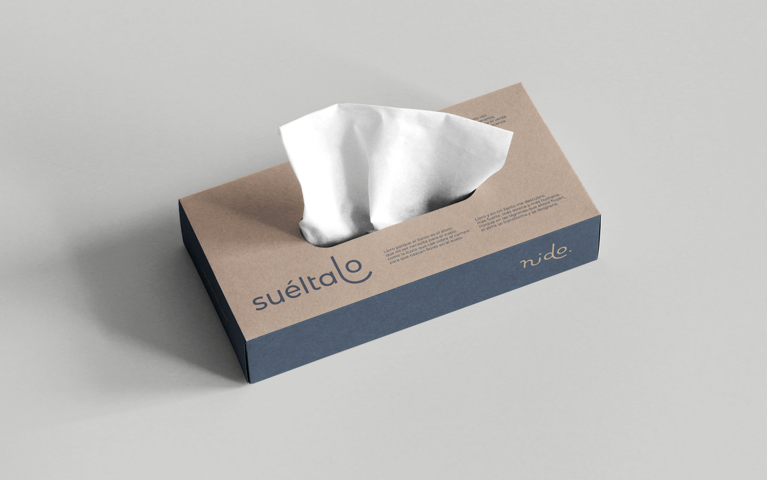 Aplicación de la identidad de marca en objetos corporativos de la consulta de Centro Nido